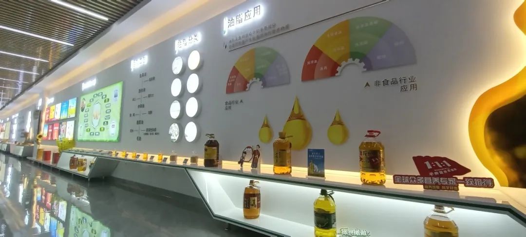 消費者親探益海嘉里金龍魚工廠 開啟安全健康之旅，探尋放心食用油的奧秘